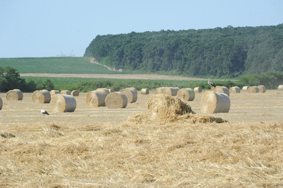 Acciones en el rural de Rumanía para fomentar el desarrollo de la zona y ayudarla económicamente a crecer y autopromocionarse