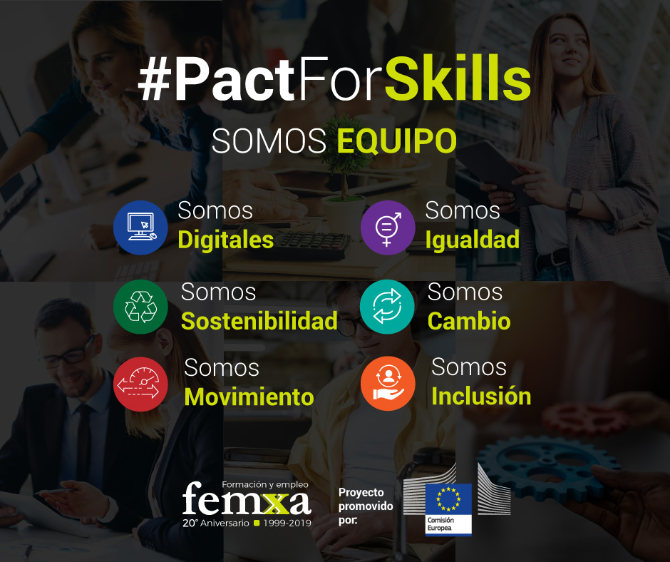 pact for skills rsc femxa