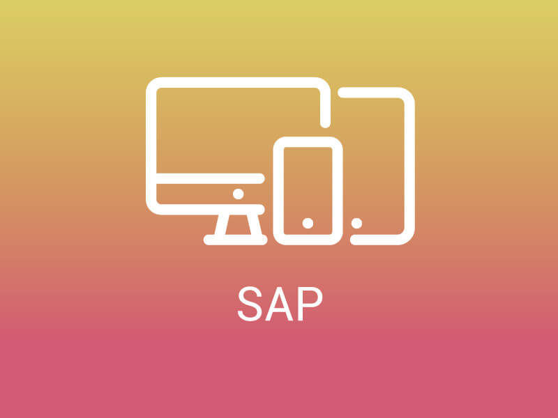 Curso de SAP inicial